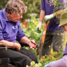 Domestic Assistance Support Service